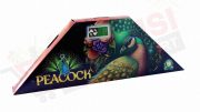 Belly Dancing Peacock ( 5 Varieties )